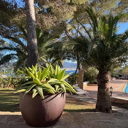 Colina Ibiza Villa