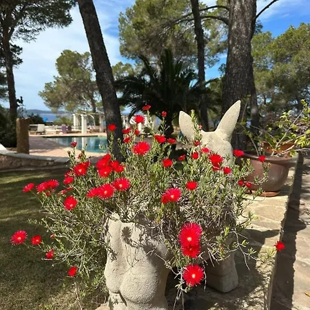 Villa Colina Ibiza *
